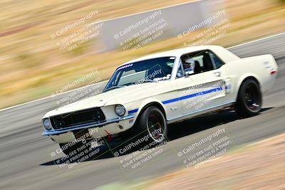 media/May-10-2025-Cobra Club (Sat) [[7b9c5022b1]]/White Group/Session 2 (Turn 3)/